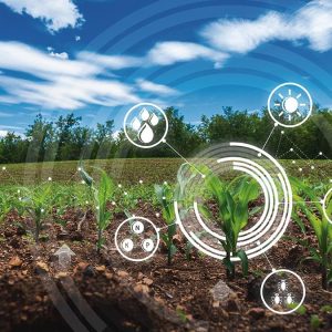 AI In Precision Agriculture: Optimizing Farming Practices